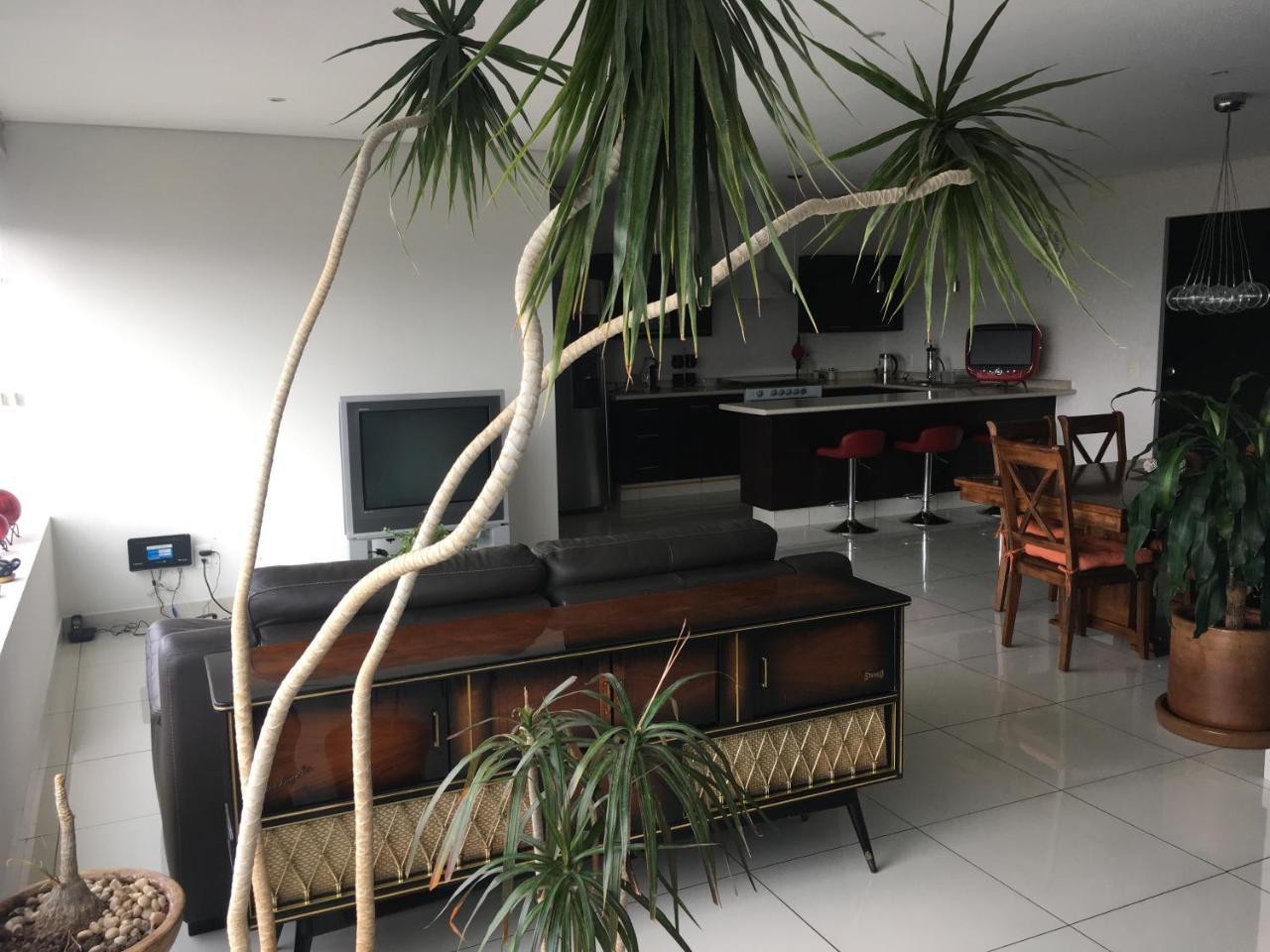 Napoles Condo Suites Mexikóváros Kültér fotó
